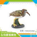 Fake Bird Figurine Resin Bird Statue Small Bird Decor for Home Office Garden