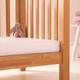 Clair de Lune Cot / Cotbed Mattress Protector