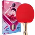 Double Happiness DHS 4002 Ping Pong Paddles Professional Table Tennis Racket with Carrying Case - ITTF Approved Rubber for Tournament Play