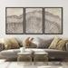 IDEA4WALL Tree Ring Rustic Farmhouse Decor Neutral Modern Organic Framed Canvas 3 Piece Print Art Canvas in White | 36 H x 72 W x 1.5 D in | Wayfair