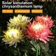 2-Piece LED Solar Landscape Lamps with Marguerite Pattern - Waterproof Stainless Steel Garden Lights