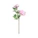 Yubnlvae Artificial flowers 2 Bouquets Artificial Peonies Dark Pink Light Pink Peony Flowers Of Peony Branches For Wedding Home Office Party Decoration Table Centerpieces Floral Arrangements