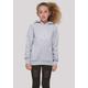 Kapuzenpullover F4NT4STIC "Harry Potter Ravenclaw Seal" Gr. 110/116, grau (heather grey) Mädchen Pullover