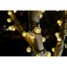 21 Foot 30pcs Warm Globe String Lights - G40 Clear LED Bulbs Solar Light- Outdoor String Lights for Patio Yard Deck Cafe Bistro and Wedding Lighting