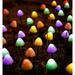 Solar String Lights Outdoor Decor -IP44 Waterproof 24 FT Solar Powered Fairy Mushroom Lights - Solar Path Lights for Patio Garde