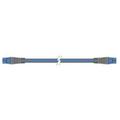 Raymarine A06033 Seatalk Ng Backbone Cable 0.4m