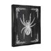 Stupell Industries Black & White Spider Framed On Wood by Lil' Rue Graphic Art Wood in Black/Brown | 31 H x 25 W x 1.7 D in | Wayfair