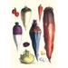 Illustration from a famous French seed catalog and the vegetables that can be grown. Poster Print by Philippe-Victoire Levï¿½que de Vilmorin (24 x 36)