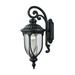 Elk Home 9-Inch Wide Outdoor Derry Hill Wall Sconce Matte Black