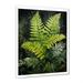 Gracie Oaks Tattersall Ferns Plant Timeless Elegance I On Canvas Print Metal in Green | 32 H x 16 W x 1 D in | Wayfair