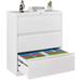 3 Drawer Lateral Filing Cabinet for Legal/Letter A4 Size, Large Deep Drawers Locked by Keys, Locking Wide File Cabinet