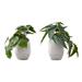 Artificial Plant, 8" Tall, Alocasia, Indoor, Faux, Fake, Table, Greenery, Potted, Set Of 2, Decorative, Green Leaves