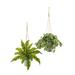 26" Watermelon Peperomia and Fern Artificial Plant in Hanging Bucket (Set of 2)