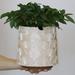 GUGUGO Pearl White Scale Planter Cute Unique Plant Pot with Drainage Eclectic Colorful Small Flower Planters Pots for Indoor & Outdoor Plants Rainbow Funny Succulent Gardening Pot Gifts