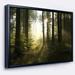 DESIGN ART Designart Early Morning Sun in Misty Forest Landscape Photography Framed Canvas Print 40 in. wide x 30 in. high