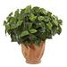 Nearly Natural Pothos Artificial Plant in Terracotta Planter