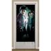NA Harry Potter Harry Potter Harry Door Cover Plastic in Black/Green | 60 H x 30 W x 0.36 D in | Wayfair 672283