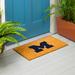 Evergreen Enterprises, Inc University of Michigan Color Logo Outdoor Doormat Coir, Rubber in Blue/Brown | 28 H x 16 W x 1.5 D in | Wayfair