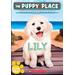 The Puppy Place #61: Lily (paperback) - by Ellen Miles