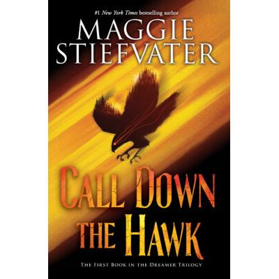 The Dreamer Trilogy #1: Call Down the Hawk (Hardcover) - Maggie Stiefvater