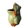 European Retro Kiln Changing Glaze To Make Old Succulent Flower Pot Creative Frog Pot Succulent Flower Pot