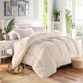 LINGKY Winter Thickening Lamb Velvet Quilt, Microfiber Filling with Filling Weight 3000g, Breathable and Skin-friendly (White,220x240cm 4.0kg)