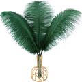 THARAHT 12pcs Blackish Green Ostrich Feathers Natural Bulk 20-22Inch 50cm-55cm for Wedding Party Centerpieces Easter Gatsby and Home Decorate Ostrich Feather