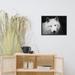 Loon Peak® Black & White Portrait White Wolf Forest Animal Wildlife Photo Framed Wall Art Framed On Paper Print in Black/Gray/White | Wayfair