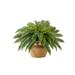 Nearly Natural 23in. Artificial Boston Fern Plant in Handmade Jute & Cotton Basket with Tassels DIY KIT Green