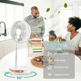 Dcenta Foldable Oscillation Telescopic Floor Fan Portable Standing Fan for Home Offices
