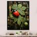Ebern Designs Ladybug Ladybugs Leisure Framed On Canvas Print Plastic in Brown/Green/Red | 44 H x 34 W x 1.5 D in | Wayfair