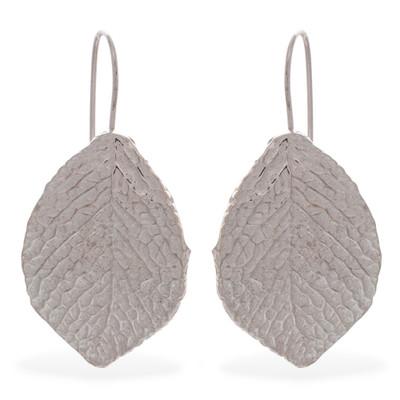 'Sweet Acacia' - Hand Made Taxco Sterling Silver Leaf Earrings