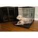 Iconic Pet Foldable Double Door Pet Dog Cat Training Crate