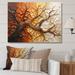Winston Porter Brown Beige Abstract Redwood Tree Collage On Canvas Print Metal | 24 H x 32 W x 1 D in | Wayfair 1D8F5B2F7B53498498E7F442F61E9FDD