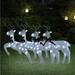 The Holiday Aisle® Vidaxl Christmas Reindeers 4 Pcs 80 Leds in White | 24.4 H x 16.5 W x 5.7 D in | Wayfair D23760CF5A0440D9B9998FAE6950DED5
