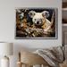 Loon Peak® Koala Kudos - Print on Canvas Plastic | 34 H x 44 W x 1.5 D in | Wayfair F939AFD8BA4F4F99BB6EFD6238597E5A