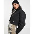 Dickies Lined Eisenhower cropped jacket in black