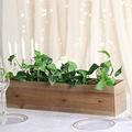 Natural Rectangular Wood Planter Box Set with Removable Plastic Liners
