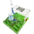 MAJHER Ant Farm Castle Ant Farm Acrylic Ant Castle Breeding Hydrating Nest Science Observation DIY Ant Nest Farm Ant Habitat Science Learning Kit Learning kit (Color : Green)