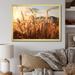 Gracie Oaks Beige Herbs Field II On Canvas Print Metal | 16 H x 32 W x 1 D in | Wayfair 52D45B50D52A4AC5A8669C622301487A