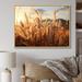 Gracie Oaks Beige Herbs Field II On Canvas Print Metal | 16 H x 32 W x 1 D in | Wayfair 0654078F79DB44B78307853D4F475C7E