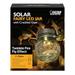 Feit Solar Fixtures 3.7 in. Solar Power Glass Round Coach Lantern Clear Crackle Jar w/Fairy Lights