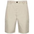 Shorts Citrine Cotton Chino Shorts in Ivory Grey / S - Tokyo Laundry