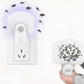 Piège à insectes volants anciers enfichable Monténégro de mouches attrape-mouche d'intérieur avec