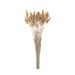 Primrue 50 - Piece Preserved Pampas Branch Set | 17.7 H x 7.9 W x 7.9 D in | Wayfair 5C5BF69B3D4445358F437EAD9F51B32E