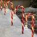 Solar Star Candy Cane Lights Stake Outdoor Christmas Decorations Set of 8 Pre-lit 40 LEDs Pathway Markers
