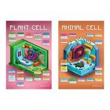 CellCraft Animal Cell & Plant Cell Poster Set - 2 Video Game Cell Structure Charts - 24 x36 Each