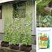 WNG Fruit Morning Glory Vine Net Flower Climbing Vine Climbing Pergola Garden Net