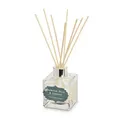 Paradise Palm & Coconut Reed Diffuser