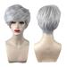 Women Fashion Short Curly Hair Wig Small Curl Hair Wig Natural Looking Exquisite Rose Net Wig Cover (6921-Silver Grey)